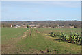 Track on arable field near Latney's, Hatfield Peverel in CM8 1EH