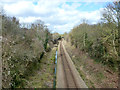Sudbury branch line in Great Tey