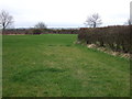 Grazing and hedgerow, Misterton in DN10 4LW