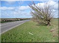 Alongside Cambridge Road to the north of Sawston in CB22 5DY