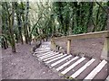 Steps in Humber Bridge Country Park in HU13 0JA