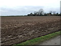 Field near Summer Croft Farm in DN9 2JW