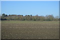 Farmland by Holt Fen Drove in CB6 3HZ