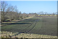 Farmland, Thetford Cow Common in CB6 3HZ