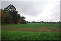 Farmland, Culpho Hall in IP6 9EA