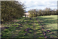 Bridleway towards Belchford in LN9 6JX