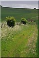 Footpath to Oakley Down in SP5 5QJ