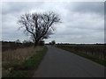 Minor road towards Owston Ferry in DN9 2LU