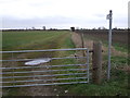 Footpath towards West Stockwith in West Stockwith