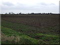 Farmland off Owston Road in West Stockwith
