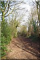Footpath to Back lane in CM4 9FB