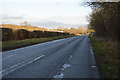 Lane to North Tuddenham in NR20 3HB