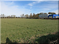 Field by Newmarket Road in CB5 8AA