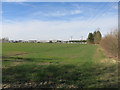 Field on the edge of Cambridge in CB5 8AA
