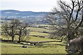 View Across The Radnor Valley To Downton in LD8 2SU