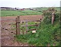 footpath to Pengold Farm in EX23 0LG