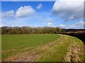 Farmland, Ashford Hill in RG19 8EQ
