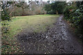 Muddy path by a glade in Childwall Woods in L25 6HX