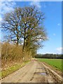 Track and farmland, Ecchinswell in RG20 4TX