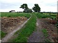 Footpath off the B1195 near Spilsby in PE23 5HD