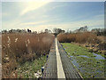 Track across marshland at Moss Nook, Parr in WA9 3EN