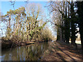 Kennet and Avon Canal east of bridge 29 in RG7 4LG