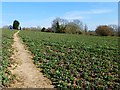 Farmland, Thatcham in RG18 4NB
