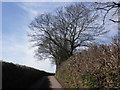 Minor road to Bickleigh in EX15 1PW