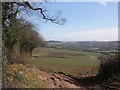 View towards the Burn valley in EX5 4BY