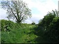 Farm track at the road end in Toynton St. Peter