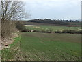 Crop field and hedgerow in S43 2QG