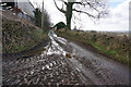 Muddy Lane near Harragrove in PL19 9NX
