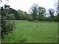 Field east of Chilfrome in DT2 0HA