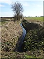 Great Drain west of Minting in Minting