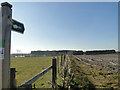 Footpath to Alde House Farm in IP12 2EP