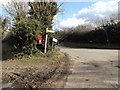 Fen Street & Crossroads Postbox in IP22 1SE