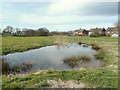 Pond in field West of Wood Lane near The Meadows estate in Heskin Green