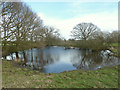 Pond between Town Lane and Barmskin Lane, Heskin in Heskin