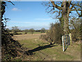 Gate into cultivated field east of Bungay Road in Poringland, Framinghams & Trowse Ward