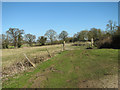 Path across the site of the medieval village of Bixley in Poringland, Framinghams & Trowse Ward