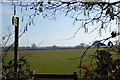 View east across large field in RG24 8AP