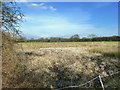 Marshy patch close to footpath in field between Town Lane and Wood Lane, Heskin in Heskin