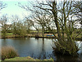 Pond on footpath between Wood Lane and Carr House Lane, Heskin in Heskin Green