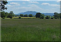 Fields south of Ankerdine Road in WR6 5LU