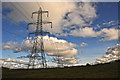 West Somerset : Grassy Field & Pylons in EX16 9FJ