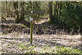 Signpost at junction of footpath and restricted byway in RG24 9PR