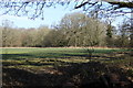 Looking across field from byway in RG24 9PR