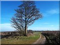Track and Bridleway near Old Parks House in Ashby Money Hill Ward