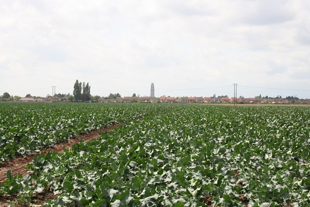 View from Rochford Tower Lane in PE21 9BH