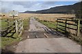 Cattle grid on Rhos Fach in LD3 0ED
